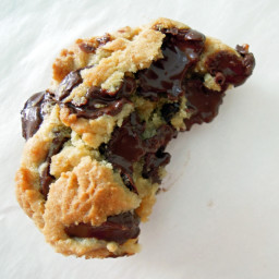 The Chewy Chocolate Chip Cookie