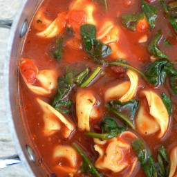 The Easiest and Best Tortellini and Spinach Soup Recipe