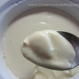 The Easiest Crock Pot Homade Yogurt (Vegan / Plant-Based)