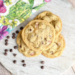 THE Most Amazing Chocolate Chip Cookies