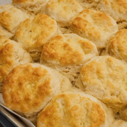 The Most Fluffy and Buttery Biscuits Ever