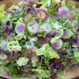 The Perfect Spring Salad