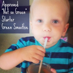 The Toddler Approved “Not so Green” Starter Green Smoothie