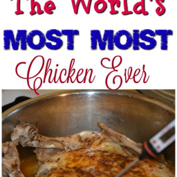 The World's Most Moist Chicken Ever