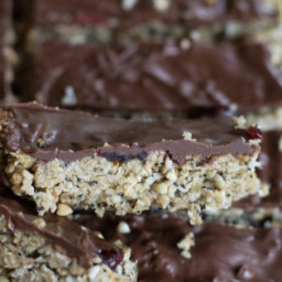Thermomix Cranberry Chocolate Superseed Bars