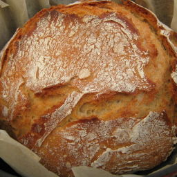 Thermomix Pain Cocotte (French Bread)