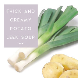 Thick and Creamy Potato Leek Soup Recipe Correction