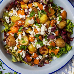 This Roasted Vegetable Winter Salad is a salad for people that think salads