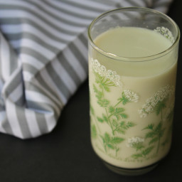 Tigernut Milk - Homemade, AIP, Paleo - Nut and Dairy Free