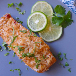 Toasted Coconut and Lime Salmon » The Candida Diet
