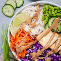 Tofu and Veggie Spring Roll Bowls with Peanut Sauce