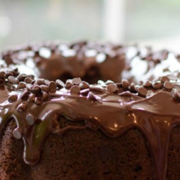 Too Much Chocolate Cake Recipe