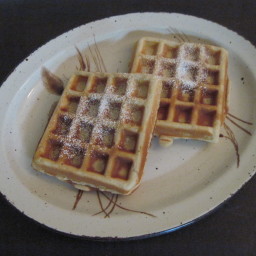 traditional-waffles-with-a-dense-te.jpg