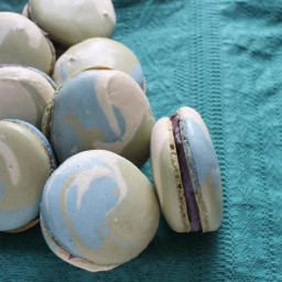 tricolor macarons with blueberry ganache recipe: a recollection of maine