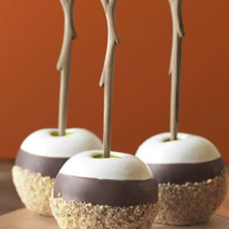 Triple Dipped S'Mores Apples
