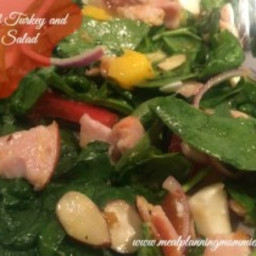 Tropical Turkey and Spinach Salad: 6 Weight Watchers Points Plus
