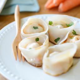 Turkey and Vegetable Potstickers