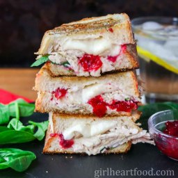 Turkey Cranberry Sandwich (cheesy and delicious!)