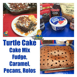 Turtle Cake