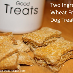 Two Ingredient, Wheat Free Dog Treats
