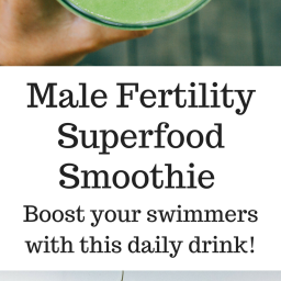 Ultimate Male Fertility Smoothie, Improve Sperm Count and Quality with thes