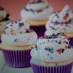 vanilla-bean-cupcakes-c21b5b.jpg