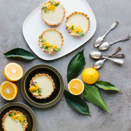 vegan lemon tarts – easy, no bake and ultra tangy!