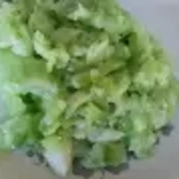 Vegetable Jello Mold