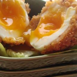 Vegetarian Scotch Eggs
