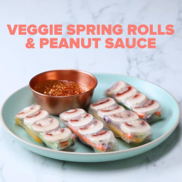 Veggie Spring Rolls With Peanut Sauce Recipe by Tasty