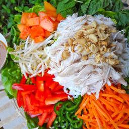 Vietnamese Spring Roll Salad