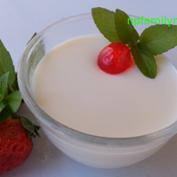 Vietnamese Yogurt Recipe (Sữa Chua/Da-Ua)