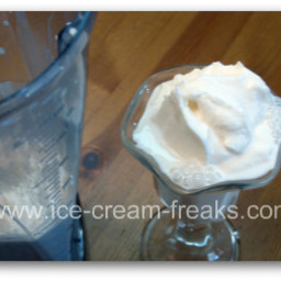 Vitamix 30-Second Vanilla Ice Cream