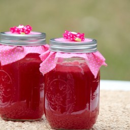 Watermelon Jelly – An Experiment in Canning {TWC #92}