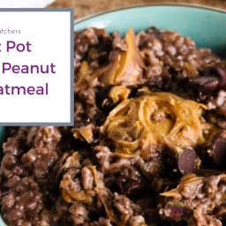 Weight Watchers Instant Pot Chocolate Peanut Butter Oatmeal The Holy Mess