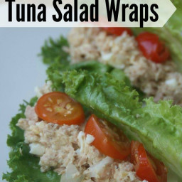 Weight Watchers Lunch Healthy Tuna Salad Wraps