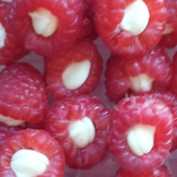 White Chocolate Stuffed Raspberries