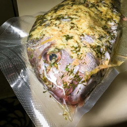 Whole Fish Sous Vide Red Snapper
