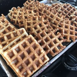 whole-wheat-flax-waffles-97f836.jpg