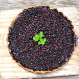 Wild ( and other) Blueberry Pie (paleo, AIP)