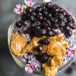 Wild Blueberry Coconut Chia Overnight N'Oatmeal