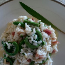 Wild Leek and Fiddlehead Risotto