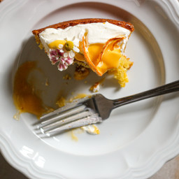 Winter Citrus Olive Oil Cake topped with a Citrus Cream