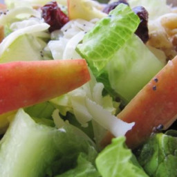 Winter Fruit Salad with Lemon Poppyseed Dressing Recipe