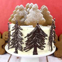 Winter Wonderland Gingerbread Cake