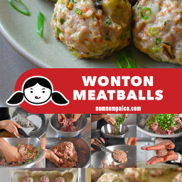 Wonton Meatballs