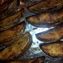 Zesty baked potato fries