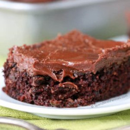 Zucchini Brownies with 1 Minute Frosting!