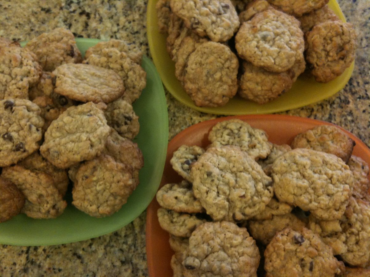 Oatmeal nut chocolate chip cookies
