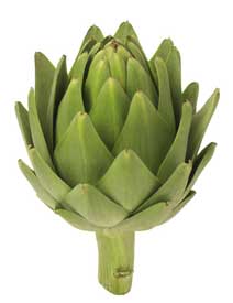 artichoke